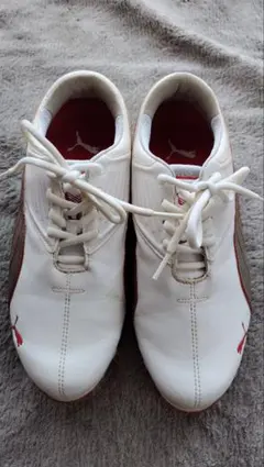 プーマゴルフシューズ24.5cm