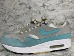 NIKE AIR MAX 1 ANNIVERSARY 26.5cm エアマックス