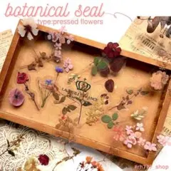 ボタニカルシール　押し花風　ドライフラワー風　コラージュ素材　ハンドメイド　デコ