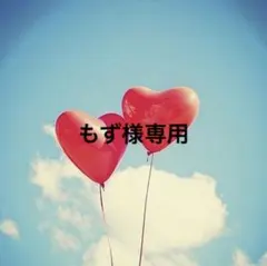 もず様専用・蝶バネイヤリング