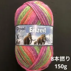 NEW オパール毛糸　アイスエイジ　8本撚り　150g 11570 壁画