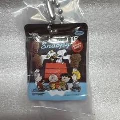スヌーピー ビスケットミニチュアチャーム チョコチップ