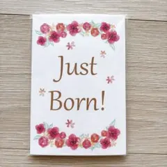 Item thumbnail for item 8f1cf3eb-cc85-4e04-a952-04c098a0a329