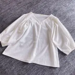 オペークドットクリップ ホワイト Vネック 七分袖 トップス シアー 白
