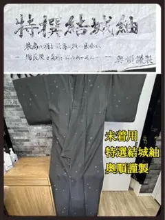 【未着用】特撰真綿結城紬　奥順謹製　証紙あり　はたおり娘　本湯通し　槌打ち　絣