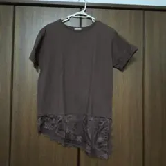 LEPSIM レース切り替え 半袖カットソー ブラウンのサムネイル