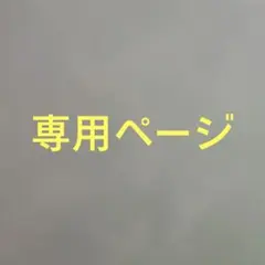 専用ページ
