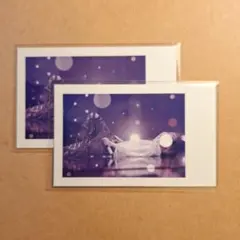 いれいす 初兎くん 実写チェキ風トレカ8枚セット