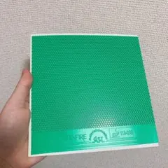 SPINFIRE スピンファイア　卓球　表　ラバー　緑　スポーツ　Ｗ１