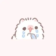 な様 専用ページ