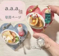 a.a.a.様専用ページ