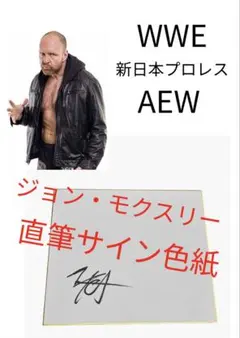 AJスタイルズ 直筆サイン色紙 WWE 新日本プロレス - メルカリ