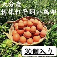 朝採れ平飼い卵 270個 大分県佐伯市産 30.個入り 佐伯養鶏の朝採れ平飼い卵 - メルカリ