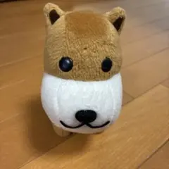 アフロ犬　アフロなし