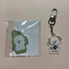 RIIZE アントン アクリルチャーム キーリング ラントイ ランダムトイ