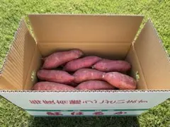 茨城県産 紅はるか 1箱5キロ 農家直送！とても甘くてオススメです！