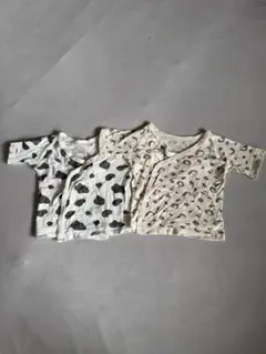 Item thumbnail for item 20fcb9e1-19cd-4001-9022-e261443ebd22