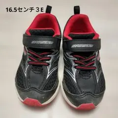 Item thumbnail for item ac286cfb-609b-43ed-806a-ca0ecceac350