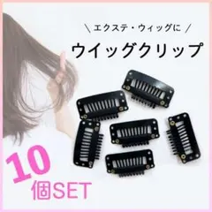 ウィッグ クリップ 10個セット カツラ用 ピン フック 滑り止め ワンタッチ