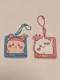 ちいかわ　ぷっくりラバマスグミ4