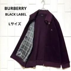 Item thumbnail for item 5e9080d3-2f9a-4a58-a6ec-6d65a2bcdfa9