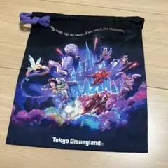 東京ディズニーランド ポーチ