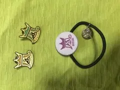 嵐コンサートグッズ✳︎ヘアゴム(紫)&ピンバッジ2つ