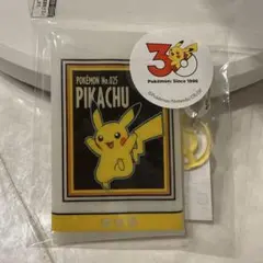 ポケモン スリーコインズ 30周年 PVCケース