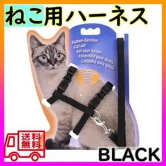 Item thumbnail for item 468ea16b-4d92-451f-aced-55794d9939d9