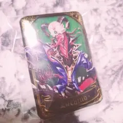 くろねこ派様 リクエスト 2点 まとめ商品