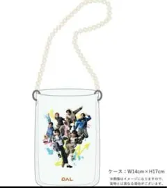 PALオリジナルパルクロすっきゃねんずストラップ付マルチケース