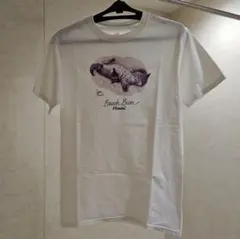 Item thumbnail for item ccb50aa9-186c-4916-9fbf-fc1d88e9d168