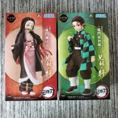 【鬼滅の刃】 竈門炭治郎・竈門禰豆子 フィギュアセット