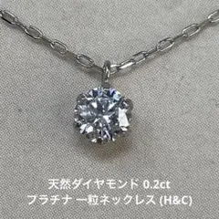 天然ダイヤモンド 0.2ct プラチナ 一粒ネックレス (H&C)