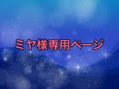 ミヤ様専用ページ キキララくじ