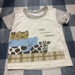 動物イラスト Tシャツ 80センチ