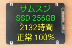 SSD 256GB SAMSUNG サムスン 正常 2132時間