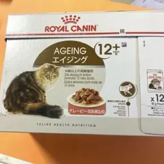 aurora様 リクエスト 2点 まとめ商品