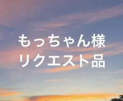 もっちゃん様 リクエスト 3点 まとめ商品