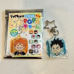 ハイキュー!! TOTHETOPラバーストラップコレクション応援団 岩泉