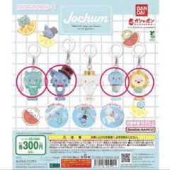 JOCHUM めじるしアクセサリー1