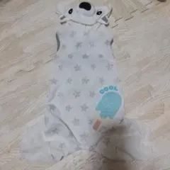 Item thumbnail for item c154e1b0-311d-4a92-b462-82885ffda8cf