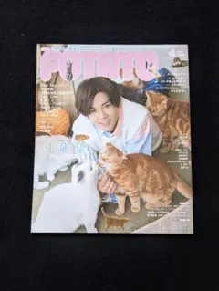 POTATO ジャニーズWEST　SixTONES　Snow Man　亀梨和也