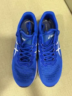 アシックス　TARTHER RP3