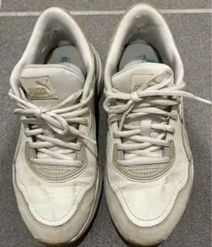 Item thumbnail for item b384bb55-aa6a-4861-bf28-56dec834e626