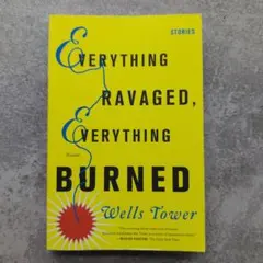 Everything Ravaged, Everything Burned