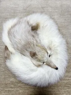 2025年最新】フォックス 襟巻きの人気アイテム - メルカリ