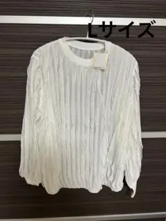 【匿名配送】【タグ付未使用品】Naturalstorecalof トップス　L