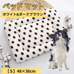 Item thumbnail for item 77b549cf-acbd-4d2a-8394-a2db09adb19d