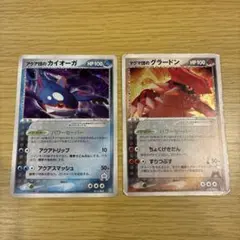 「早い者勝ち」「希少」♦︎マグマ団のグラードン/アクア団のカイオーガ♦︎破格 格安 マグマ団のグラードン アクア団のカイオーガの通販 また